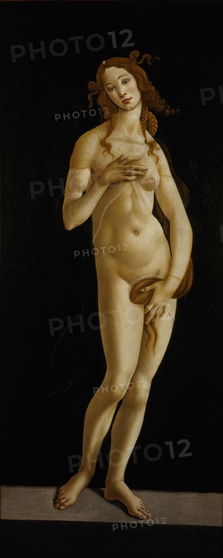 Venus Pudica, ca 1485-1490. Creator: Botticelli, Sandro (1445-1510).