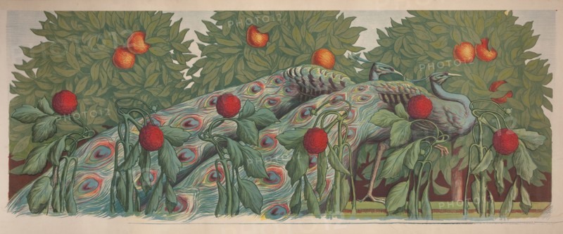Les Paons, 1903. Creator: Müller, Alfredo (1869-1939).