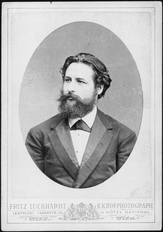 Portrait of the pianist and composer Heinrich Karl Johann Hofmann (1842-1902). Creator: Luckhardt, Fritz (1843-1894).