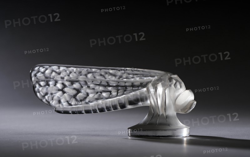 Libellule , small, Lalique mascot. Creator: Unknown.