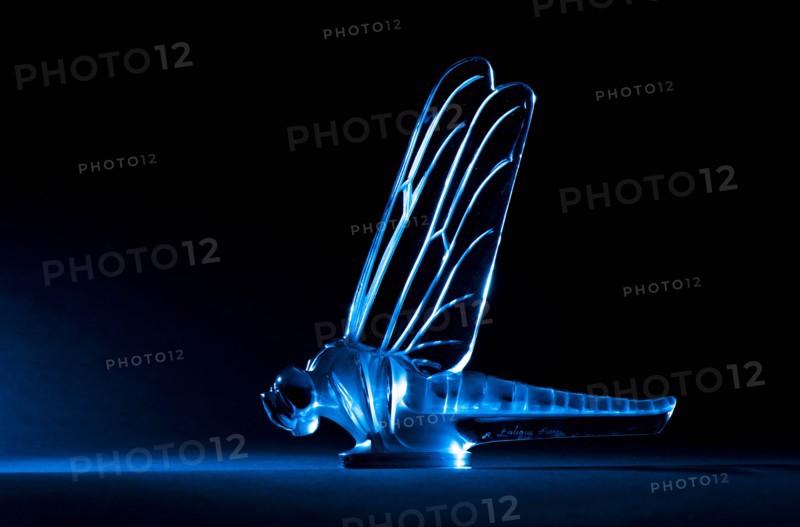 Libellule Lalique mascot, large. Creator: Unknown.