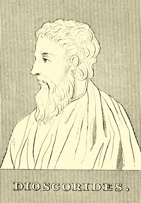 'Dioscorides', (c40-90 AD), 1830. Creator: Unknown.