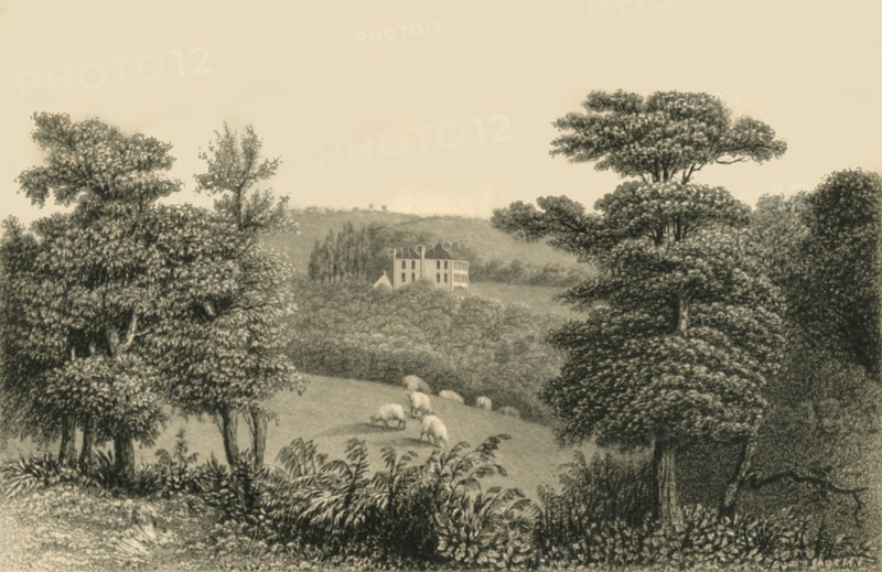 'Markly', 1835. Creator: Charles Mottram.