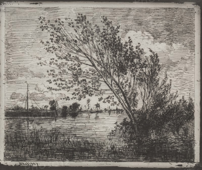 A Cluster of Alders, original impression 1862, printed in 1921. Creator: Charles François Daubigny (French, 1817-1878).