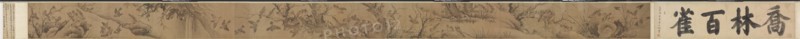 A Hundred Sparrows in a Lofty Grove (Qiaolin baique tu), 1368-1644. Creator: Lin Liang (Chinese, 1416-1480), attributed to.