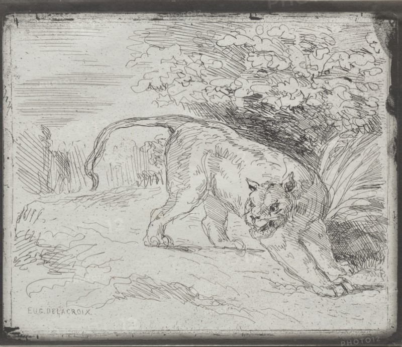 A Trapped Tiger, 1854. Creator: Eugène Delacroix (French, 1798-1863).