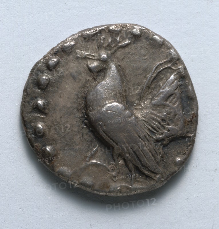 Aegineatan Drachm: Rooster (obverse), c. 482 BC. Creator: Unknown.
