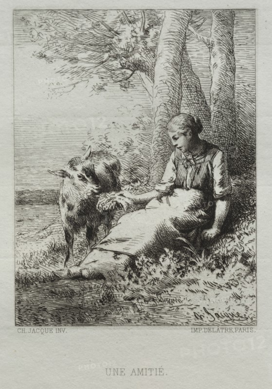Affection. Creator: Charles-Émile Jacque (French, 1813-1894).