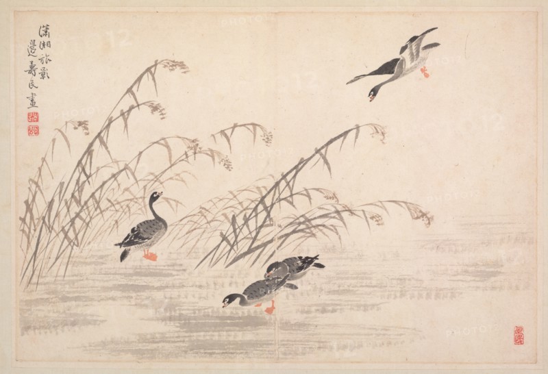 Album of Calligraphy and Paintings, 18th Century. Creator: Bian Shoumin (Chinese, 1684-1752).