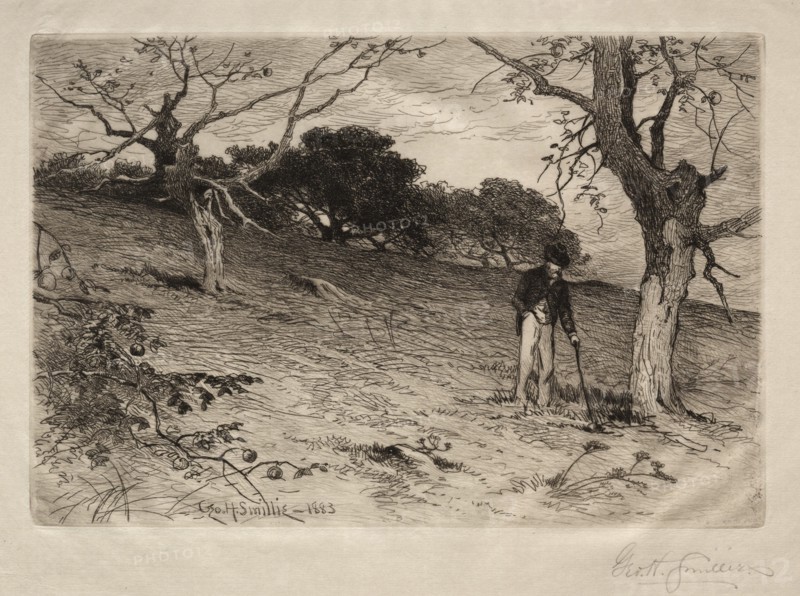 An Old New England Orchard, 1883. Creator: George Henry Smillie (American, 1840-1921).