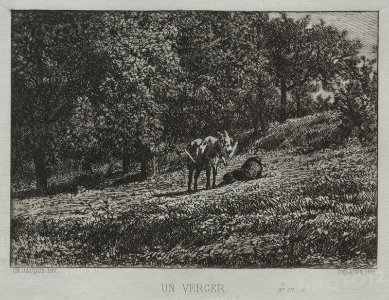 An Orchard. Creator: Charles-Émile Jacque (French, 1813-1894).