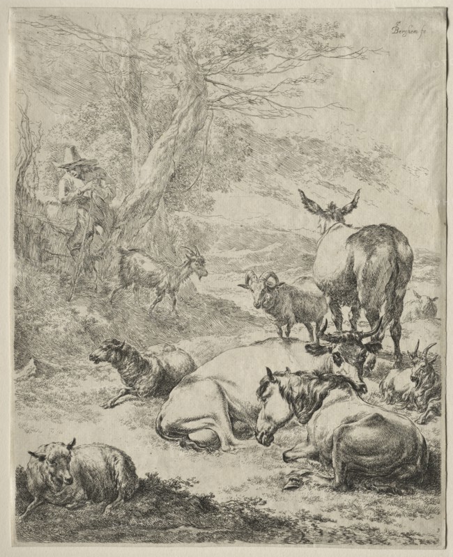 Animals in Repose. Creator: Nicolaes Berchem (Dutch, 1620-1683).