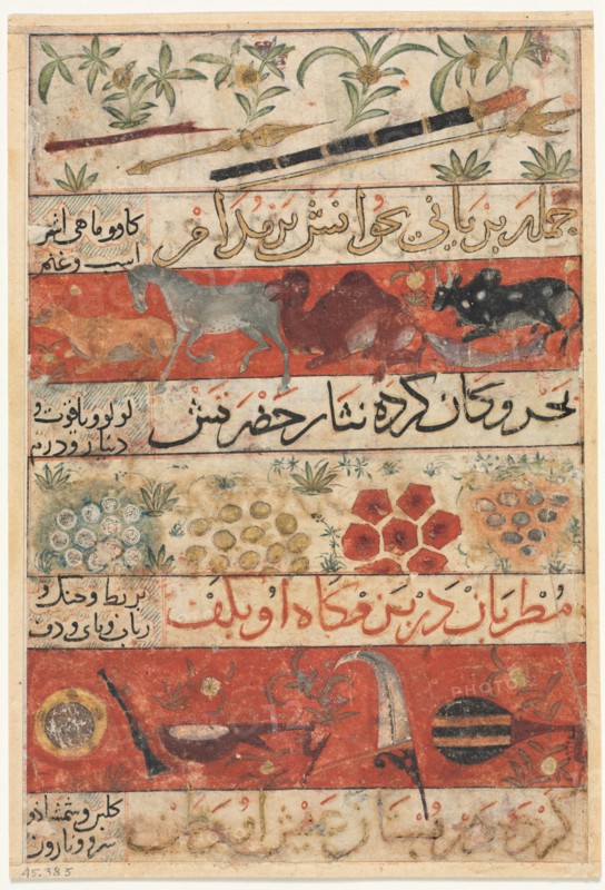 Animals, Precious Stones, Coins, and Musical Instruments (recto); Animals, Birds, and Plants (verso) Creator: Unknown.
