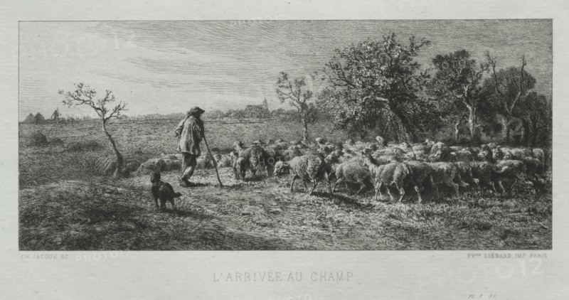 Arriving at the Field. Creator: Charles-Émile Jacque (French, 1813-1894).