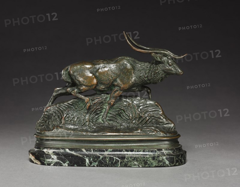 Axis Deer, 19th century. Creator: Antoine-Louis Barye (French, 1796-1875).