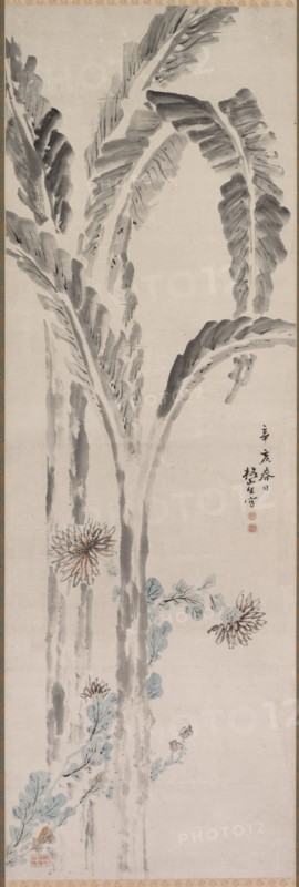 Banana Plant and Chrysanthemum (?), 19th century. Creator: Tsubaki Chinzan (Japanese, 1801-1854).