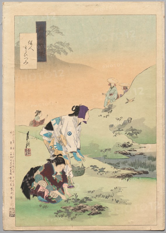 Beauties Harvesting Bracken, from the series Gekko?s Miscellaney, c. 1886-1899. Creator: ?gata Gekk? (Japanese, 1859-1920).