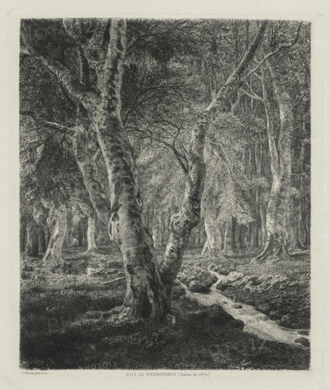 Bois de Pierrefonds, 1874. Creator: Adolphe Théodore Jules Martial Potémont (French, 1828-1883).