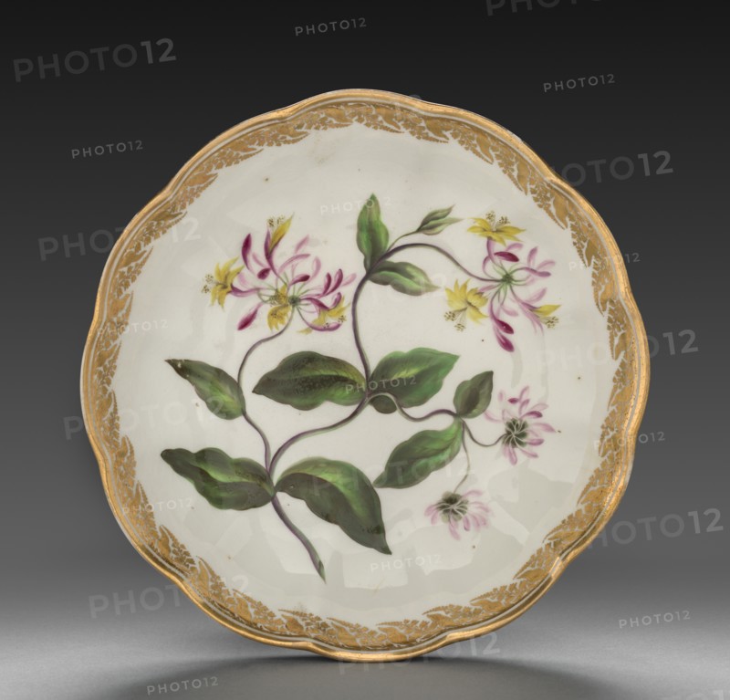 Bowl from Dessert Service: Dutch Honeysuckle, c. 1800. Creator: Derby (Crown Derby Period) (British).