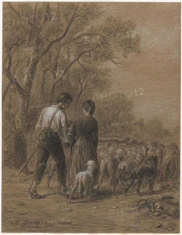 Bringing in the Sheep, 1800s. Creator: Charles-Émile Jacque (French, 1813-1894).