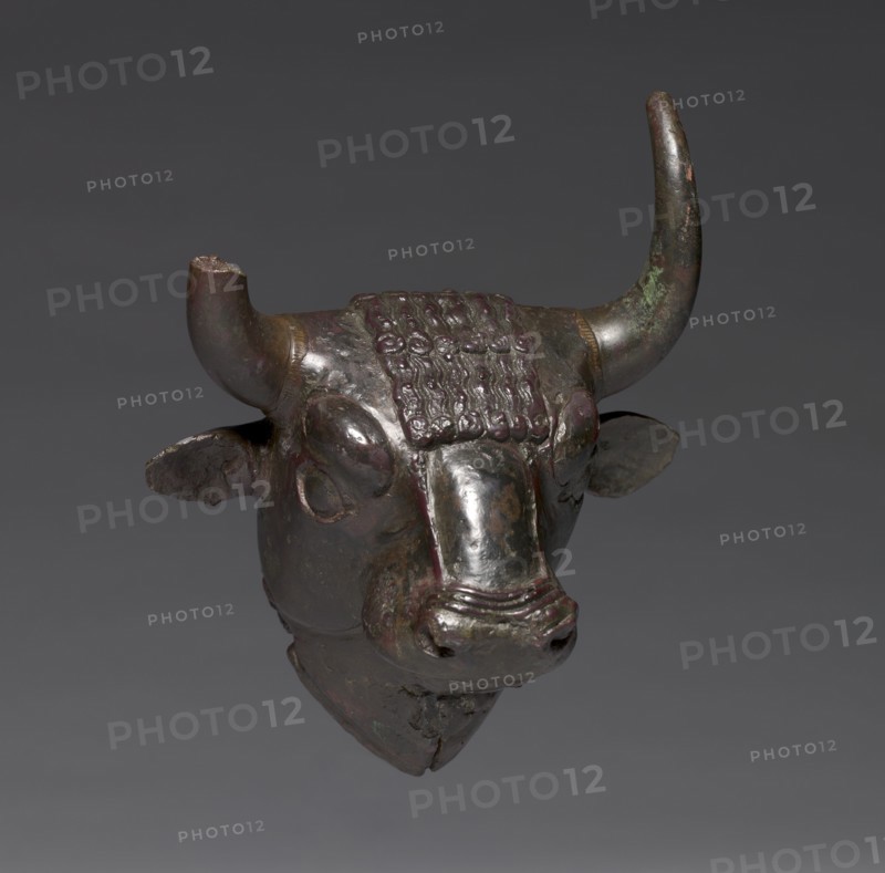 Bull Head Attachment, c. 700-600 BC. Creator: Unknown.