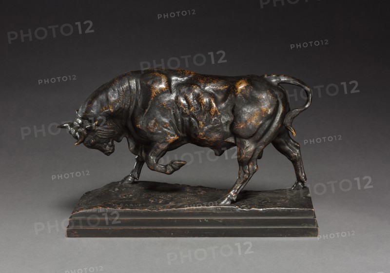 Bull, c. 1841. Creator: Antoine-Louis Barye (French, 1796-1875).