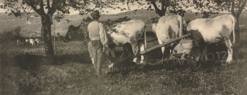 Camera Work: Ploughing Team, 1907. Creator: J. Craig Annan (British, 1864-1946).