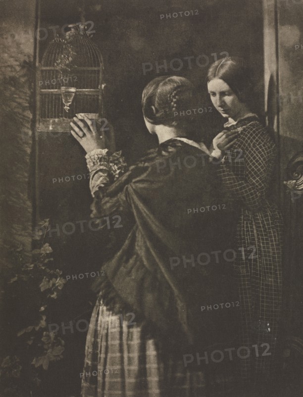 Camera Work: The Bird-Cage, 1909. Creator: David Octavius Hill (British, 1802-1870); Robert Adamson (British, 1821-1848), and.