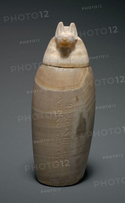 Canopic Jar with Jackal's Head, 664-525 BC. Creator: Unknown.