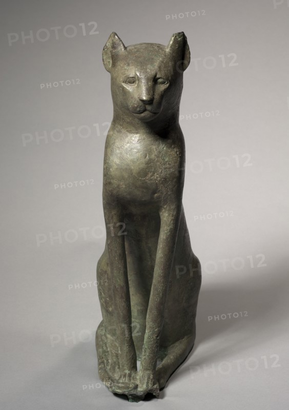 Cat Coffin, 305-30 BC. Creator: Unknown.