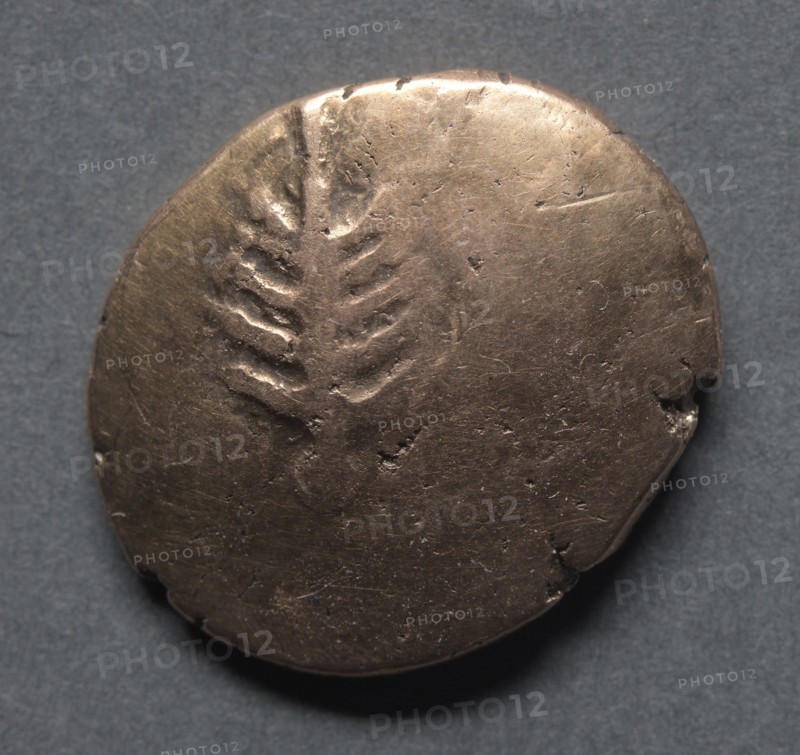 Catti Stater of the Dobunni (reverse), c. 40 B.C.. Creator: Unknown.