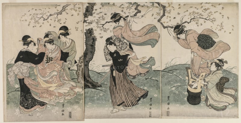 Cherry Blossoms in the Wind, late 1790s. Creator: Utagawa Toyokuni (Japanese, 1769-1825).