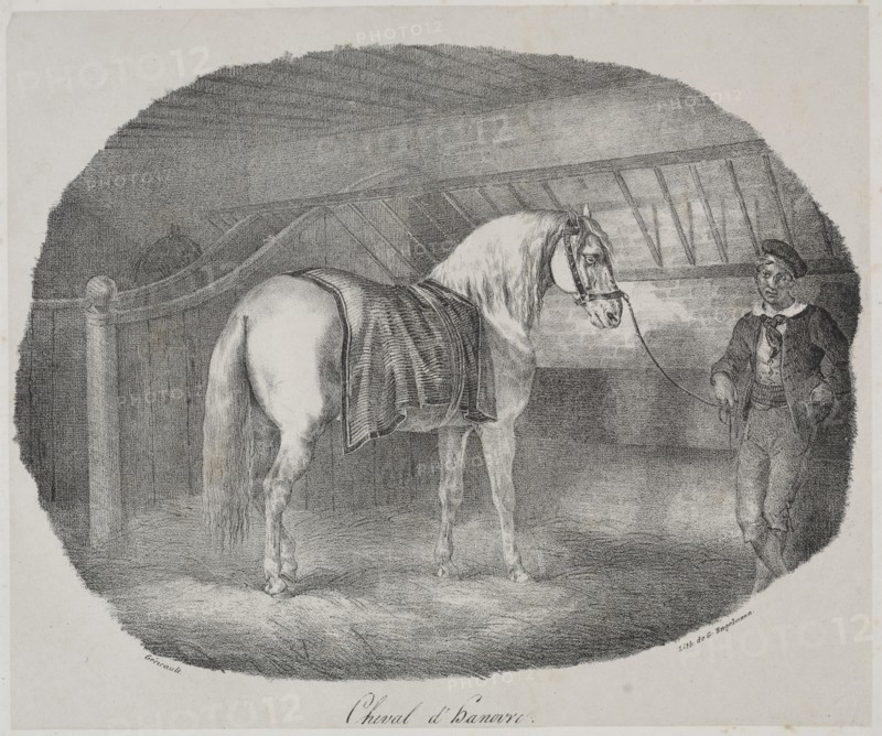Cheval dHanovre. Creator: Théodore Géricault (French, 1791-1824).