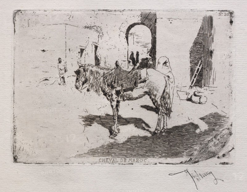 Cheval du Maroc. Creator: Mariano Fortuny y Carbó (Spanish, 1838-1874).