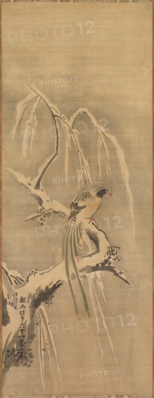 Chinese Bird on Snow-Laden Branch, 17th century. Creator: Kano Tan?y? (Japanese, 1602-1674).
