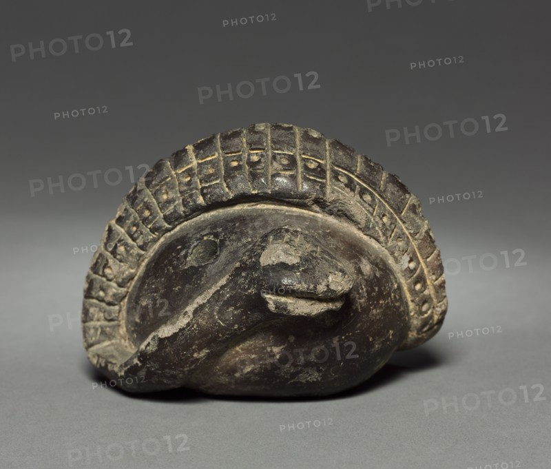 Coiled Snake, before 1921. Creator: Unknown.