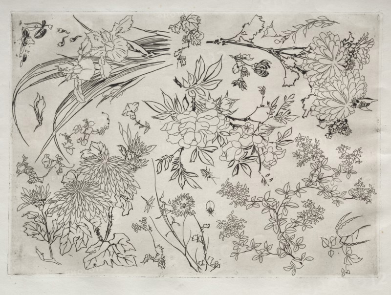 Dinner Service (Rousseau service): Flowers (no. 23), 1866. Creator: Félix Bracquemond (French, 1833-1914).