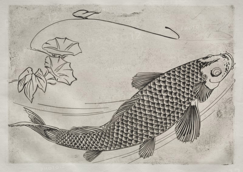 Dinner Service (Rousseau service): Large fish in a Japanese style (no. 19), 1866. Creator: Félix Bracquemond (French, 1833-1914).