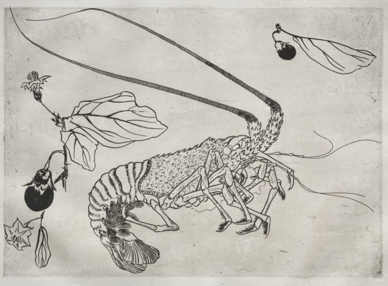 Dinner Service (Rousseau service): Large lobster with raised antenna (no. 21), 1866. Creator: Félix Bracquemond (French, 1833-1914).