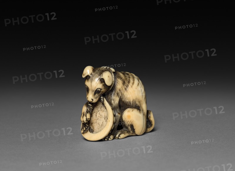 Dog with Shell, 18th century. Creator: Unknown.