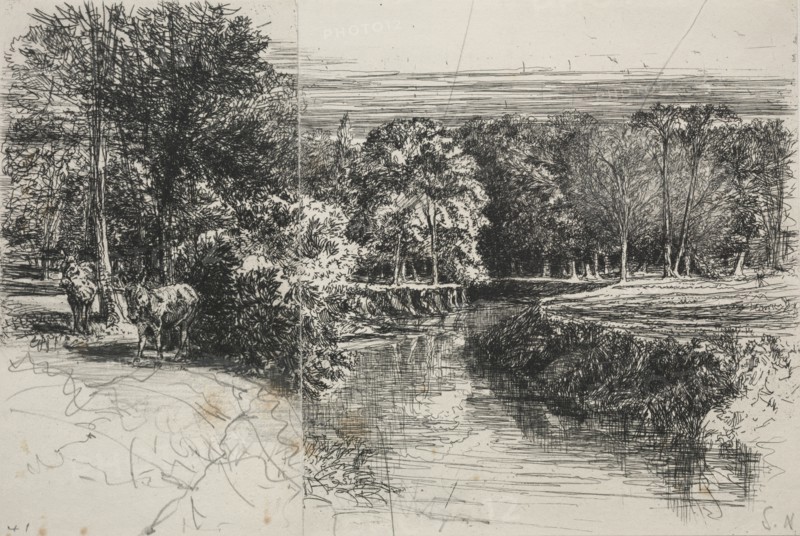 Dundrum River and the Two Asses, 1863. Creator: Francis Seymour Haden (British, 1818-1910).