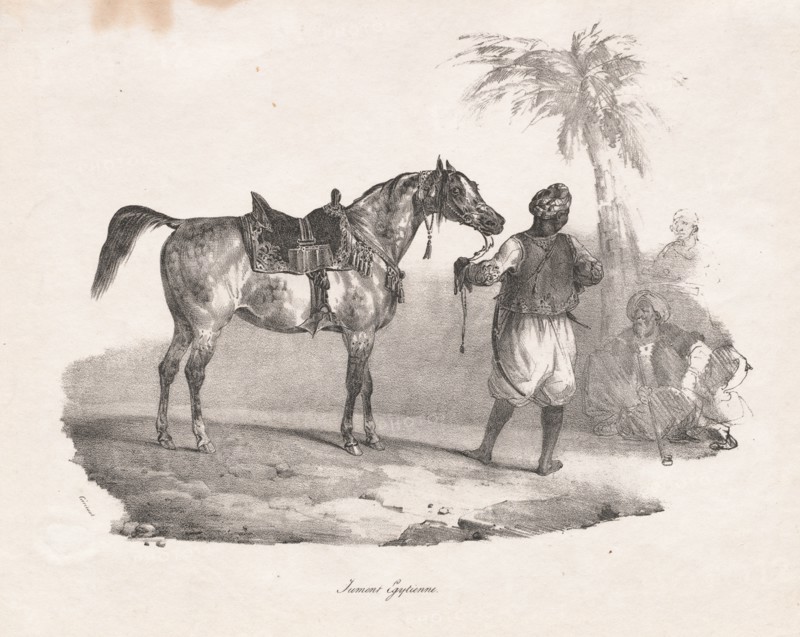 Egyptian Mare, 1822. Creator: Théodore Géricault (French, 1791-1824).