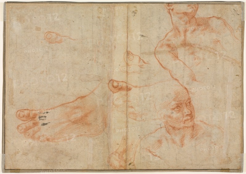 Figure Studies for the Sistine Ceiling (verso), 1510-11. Creator: Michelangelo Buonarroti (Italian, 1475-1564).