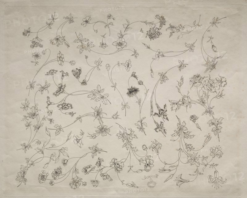 Flower designs for plates and borders (no. 14), 1872. Creator: Félix Bracquemond (French, 1833-1914).