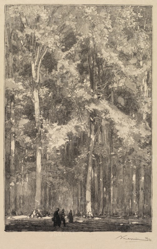 Fontainebleau Forest: Morning, Crossroads of the Route of the Forts de Marlotte..., 1890. Creator: Auguste Louis Lepère (French, 1849-1918); A. Desmoulins, Published in Revue Illustrée, 1887-90.