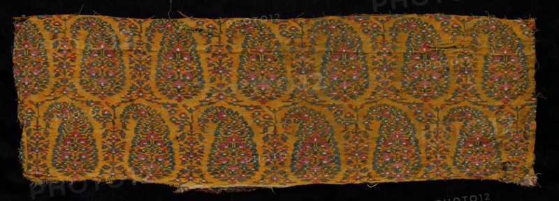 Fragment of a Shawl, 1800s. Creator: Unknown.