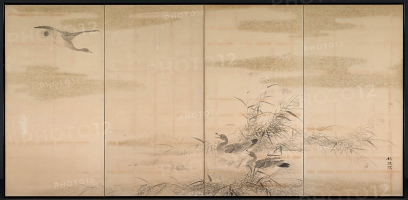 Geese, Reeds, and Water, 1800s. Creator: Yamamoto Baiitsu (Japanese, 1783-1856).