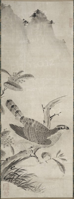 Hawk, mid 1500s. Creator: Masayoshi Fujiwara (Japanese).