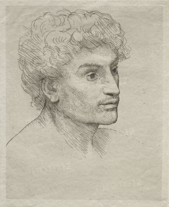 Head of a Young Man. Creator: Alphonse Legros (French, 1837-1911).