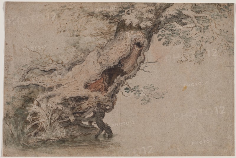 Hollow Tree, after Roelant Savery, after 1670. Creator: Lambert Doomer (Dutch, 1623-1700).